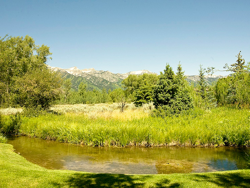 wilderness-ranches-jackson-hole-real-estate-1